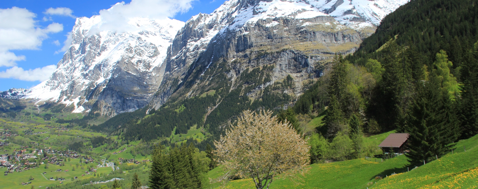 スイスアルプスのイメージ